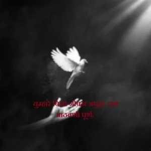 भावपूर्ण श्रद्धांजली भाऊ