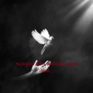 Bhavpurna Shradhanjali in Hindi