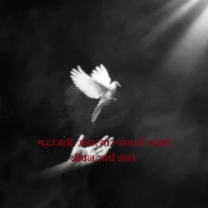 भावपूर्ण श्रद्धांजली