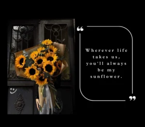 Sunflower Quotes for Her
