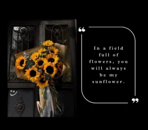 Sunflower Quotes in English