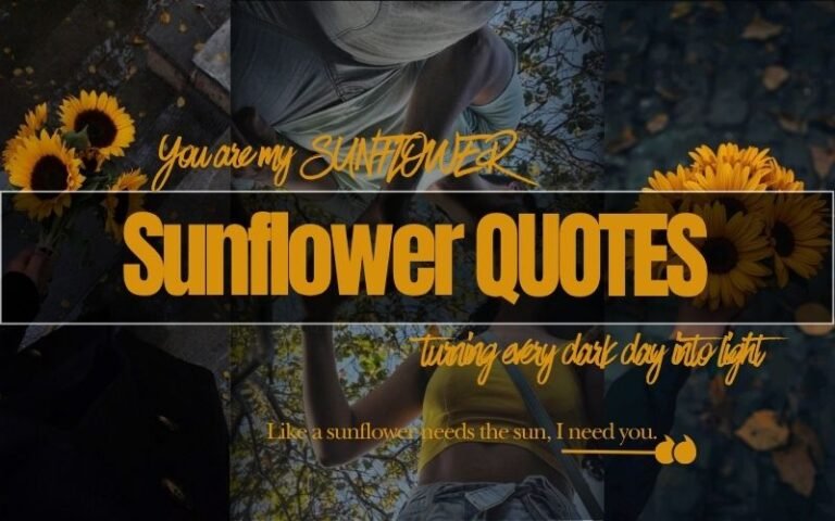 Sunflower Quotes – 150+ Best & Sweet Captions for Every Mood